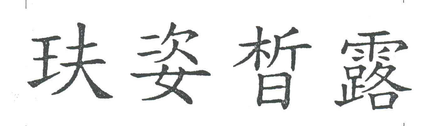 玞姿皙露