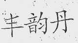 丰韵丹