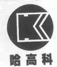 哈高科