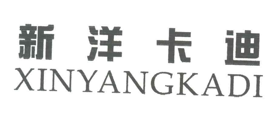 新洋卡迪