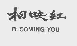 相映红   BLOOMING YOU