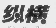 纵横