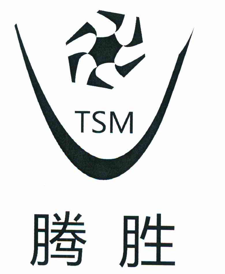 腾胜 TSM