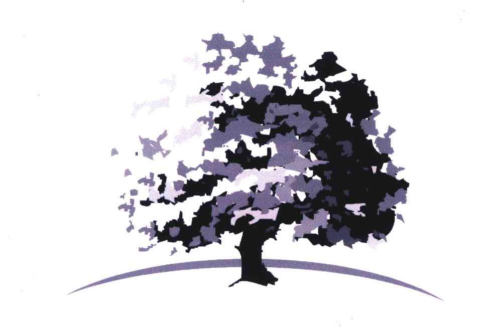 图形