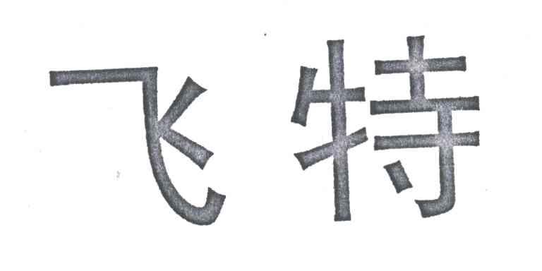 飞特