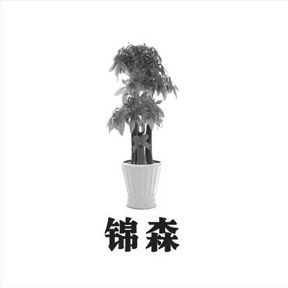 锦森