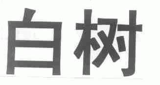 白树
