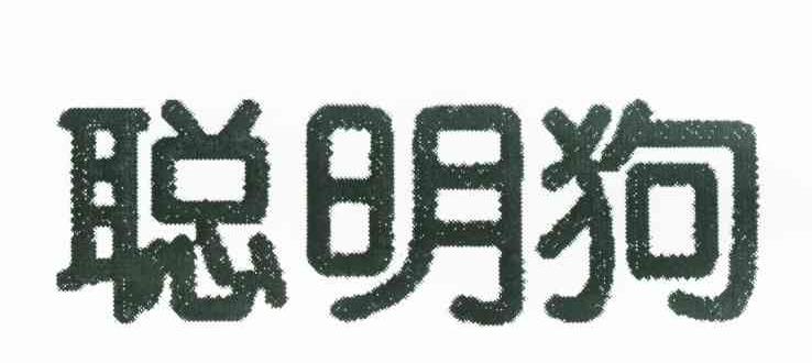 聪明狗