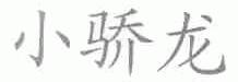 小骄龙