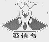 爱情鸟