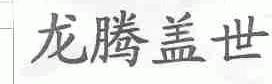 龙腾盖世