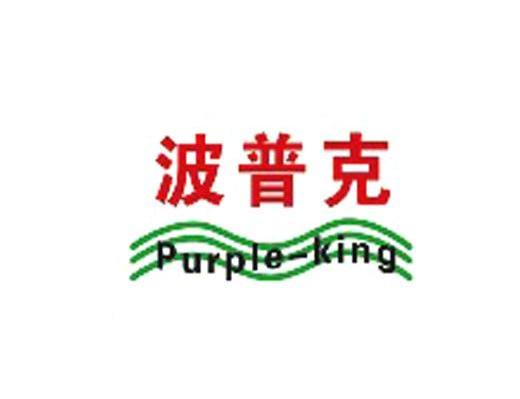 波普克PURPLE-KING