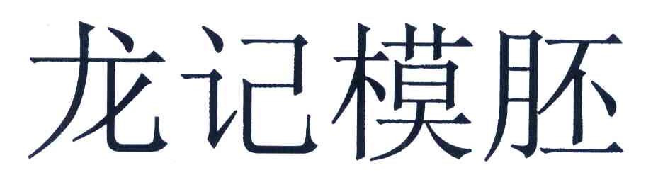 龙记模胚