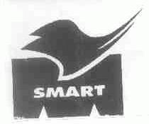 SMART