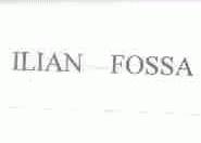 ILIAN FOSSA