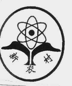 新农村