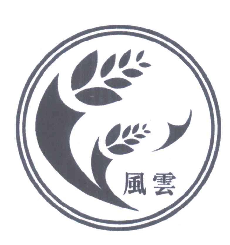 风云