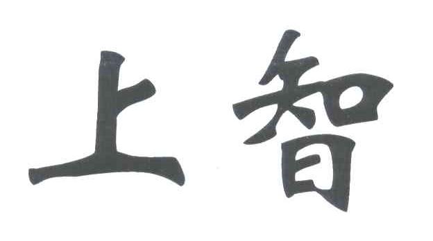 上智