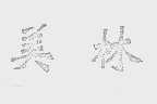 美林