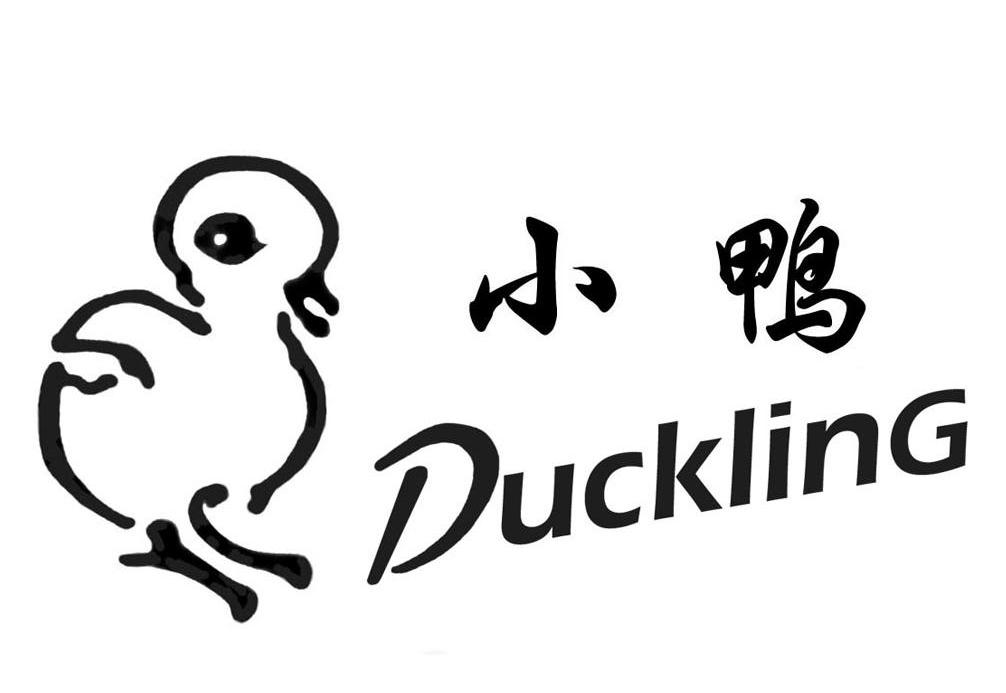 小鸭 DUCKLING