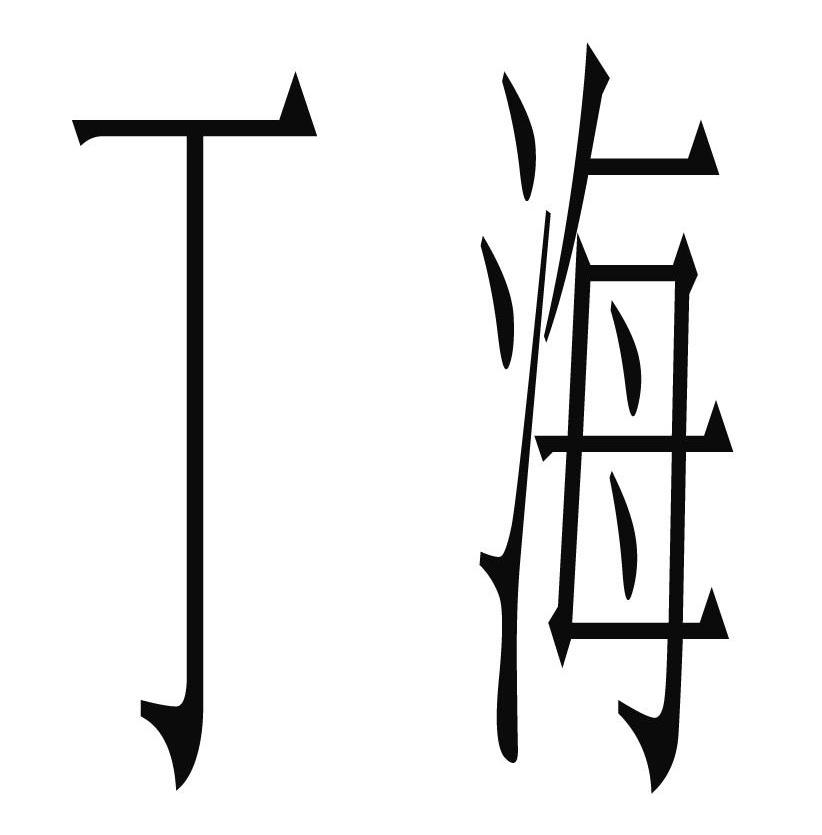 丁海