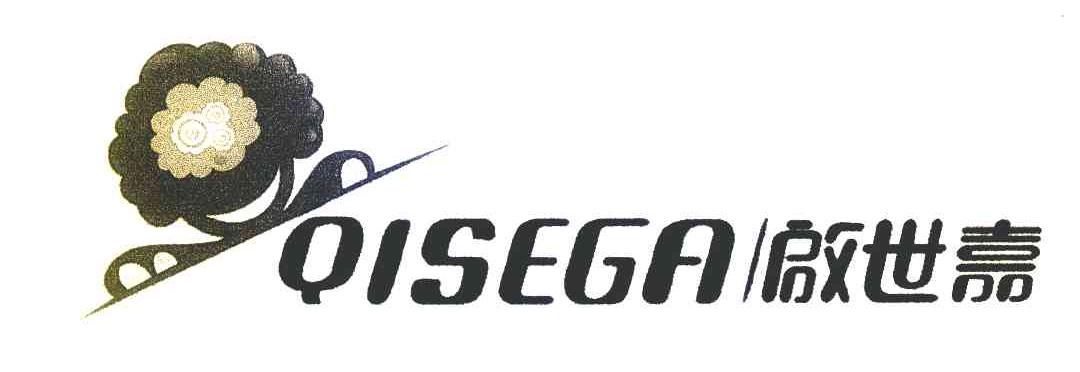 启世嘉 QISEGA