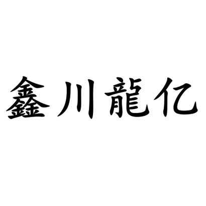 鑫川龙亿