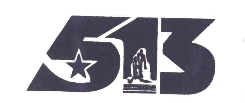 513