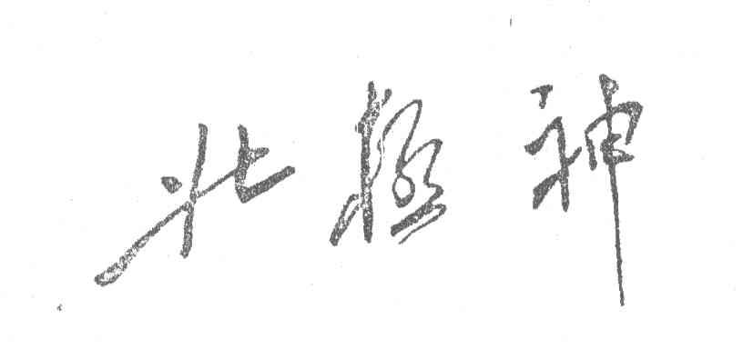 北极神