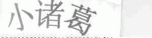 小诸葛