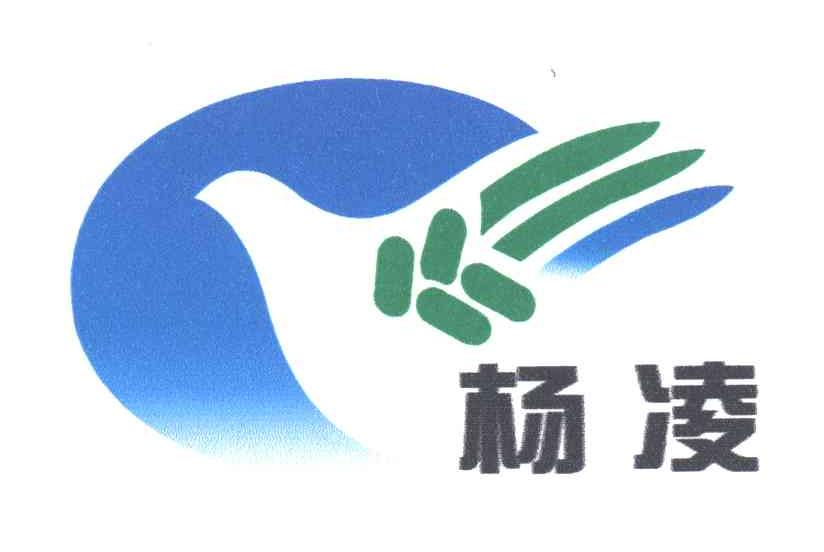 杨凌