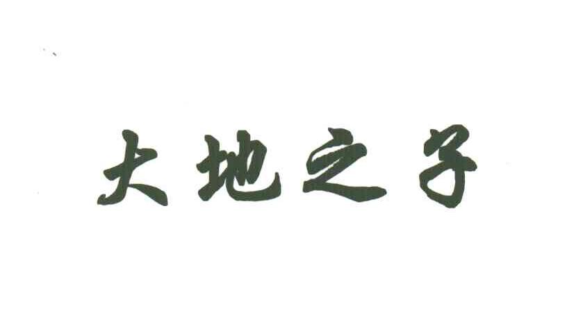 大地之子
