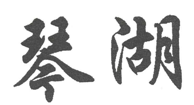 琴湖