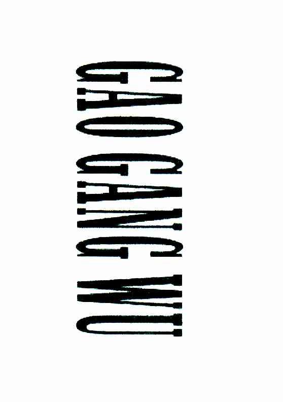 GAO GANG WU