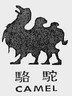 骆驼 CAMEL