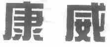 康威