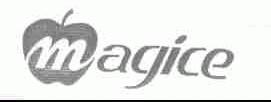 MAGICE