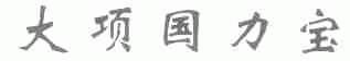 大项国力宝