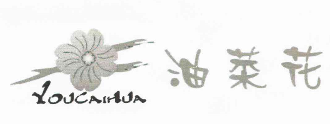 油菜花