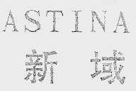 新域  ASTINA