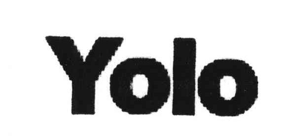 YOLO