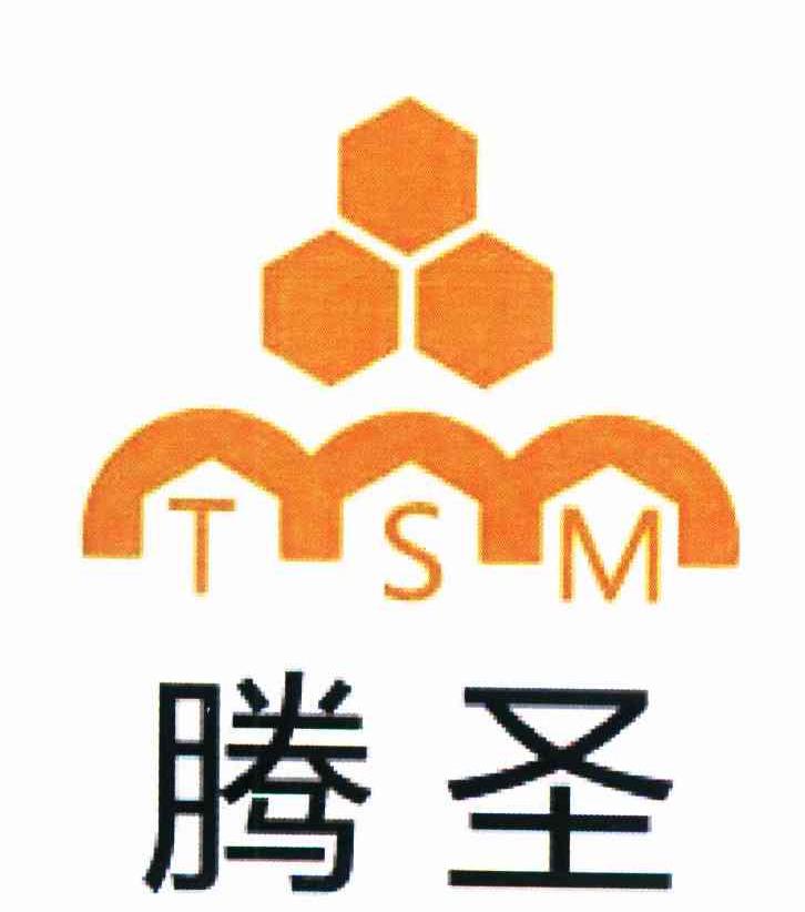 腾圣 TSM
