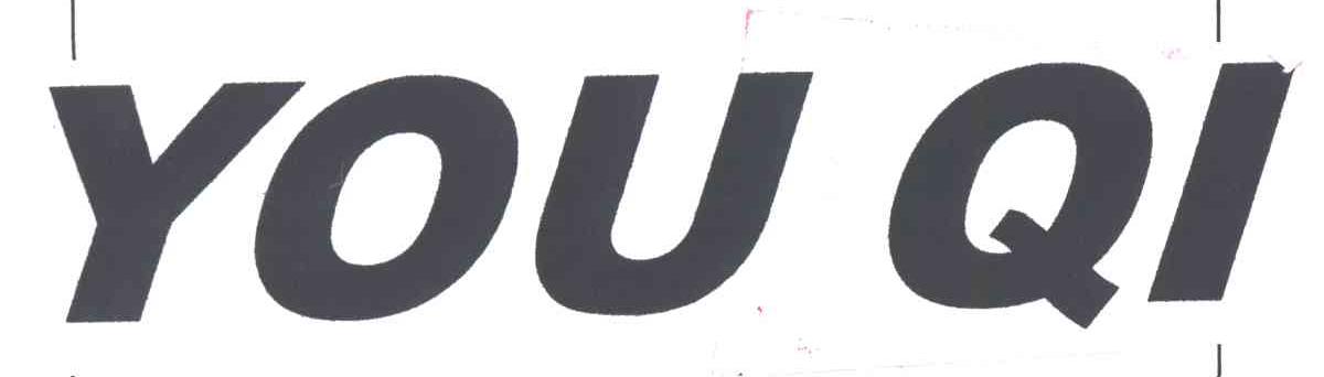 YOU QI