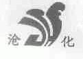 沧化