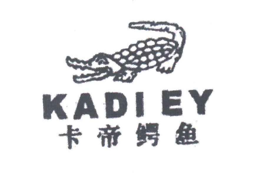 卡帝鳄鱼;KADIEY