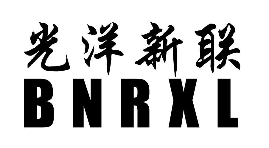光洋新联 BNRXL
