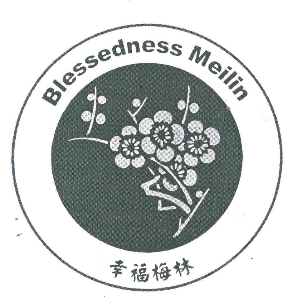 幸福梅林;BLESSEDNESS MEILIN