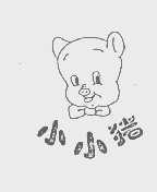 小小猪