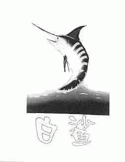 白鲨