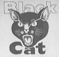 BLACK CAT